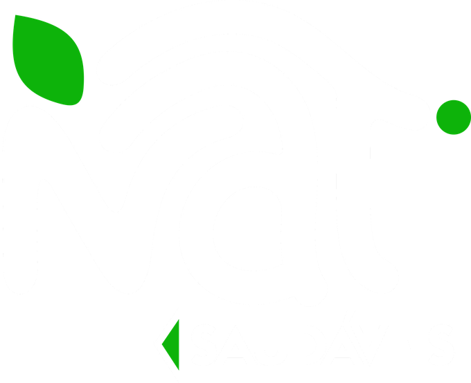 Natbox Saudáveis